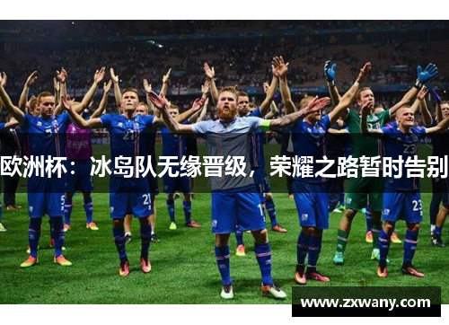 欧洲杯：冰岛队无缘晋级，荣耀之路暂时告别
