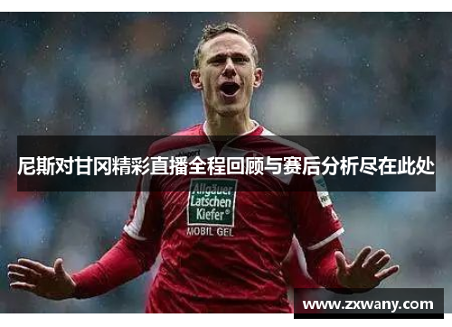 尼斯对甘冈精彩直播全程回顾与赛后分析尽在此处